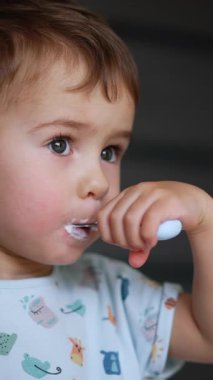 Güzel bebek kaşıktan süt ürünleri yiyor. Yoğurt yiyen sakin bir çocuk. Kapatın. Arkaplan bulanık. Dikey video