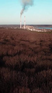 Nehir kenarındaki sonbahar ormanı ve elektrik santralinin görüntüsünü kaldırdım. Hava görünümü Dikey video