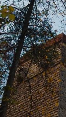 Romanya 'daki Bran şatosunun güzel faşisti. Binanın düşük açılı manzarası ve az yapraklı ağaçlar. Dikey video