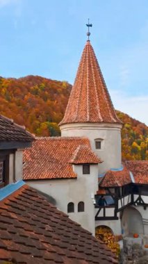 Romanya 'nın Brasov kentindeki Bran şatosunun eski moda kiremitli çatıları. Arka planda parlak ormanlarla kaplı inanılmaz renkli bir dağ. Dikey video