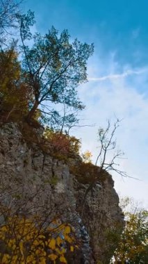 Tepesinde orman ve kale olan yüksek kayalar. Romanya 'nın Brasov kentindeki Bran kalesinde. Düşük açı. Dikey video