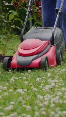 Kırmızı çim biçme makinesiyle çimlerini biçen ve yeşil çimleri biçen bir kadın. Çimleri biçmeyi bitirene kadar çim biçme makinesine binmeye devam edecek. Dikey video