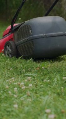 İnsan, yazın bahçedeki patikanın yakınındaki çim biçme makinesinin işini kontrol ediyor. Çim biçme makinesi sürekli olarak çimleri biçiyor. Dikey video.