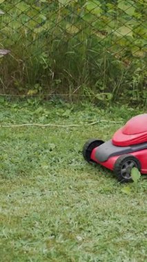 Çimleri biçmeye yakın çekim. Açık hava ev işleri dikey video