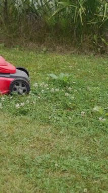 Çim biçme makinesiyle taze yeşil çimleri biçiyorum. Bahçede çim biçiyorum. Açık hava ev işleri dikey video