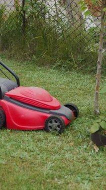 Kız çim biçme makinesiyle çim biçiyor. Çiçek saksılarının etrafında. Bahçede güller var.