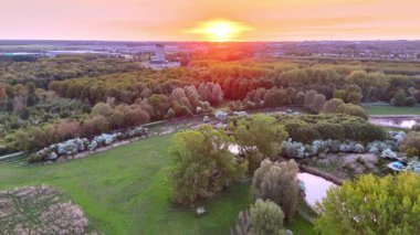 Ufukta turuncu gökyüzünde batan güneş. İnsansız hava aracı görüntüleri orman ve çimlerin üzerinde.