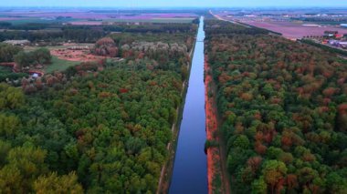 Hollanda 'daki doğa ve su yolları. Alacakaranlıkta sakin bir kanalın yanında yoğun yeşil ormanın havadan görünüşü Hollanda 'daki doğal güzellikleri gözler önüne seriyor..