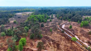Hollanda 'da kurumuş sulak alanlar. Bereketli yeşillik ve dolambaçlı su yolları açık bir günde Hollanda 'da sakin bir manzara yaratır..