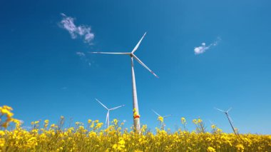 Parlak sarı bir alanda rüzgar türbinleri. Uzun rüzgar türbinleri, açık mavi gökyüzünün altında yenilenebilir enerjiyi sembolize eden canlı sarı çiçeklerin arasında duruyor..