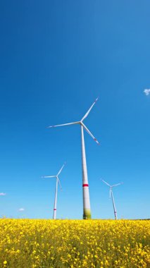 Bir tarlada uzun rüzgar türbinleri. Güneşli bir günde açık mavi gökyüzünün altında canlı sarı bir tarlanın üzerinde üç rüzgar türbini yükselir..