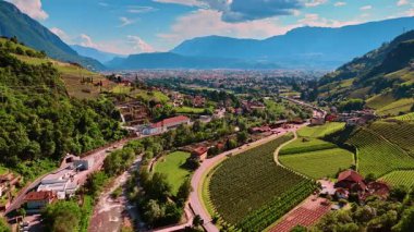 Dağların yamaçlarında büyüyen üzüm bağları. Güzel Bolzano 'nun göz alıcı manzarası, Güney Tyrol, İtalya. Hava görünümü.