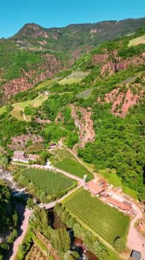 Dağların eteklerinden akan hızlı nehrin üzerinden uçmak. Üzüm bağları kayaların yamaçlarında yetişir. Güneşli bir günde Bolzano, Güney Tyrol, İtalya 'ya hava perspektifi. Dikey video.