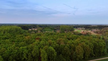 Ormandaki yeşil ağaçların tepesinde. Kırsaldaki ormanın üzerinden uçarak.