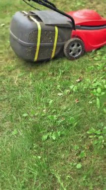 Çim biçme makinesiyle yeşil çim biçme işlemi. Ev sahibi yazın elektrikli çim biçme makinesiyle bahçede çalışıyor. Dikey video