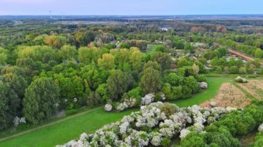 Baharın yemyeşil Hollanda 'sı. Hollanda 'da yemyeşil ağaçlar ve çiçek açan çiçekler baharda doğanın güzelliğini gözler önüne seriyor..