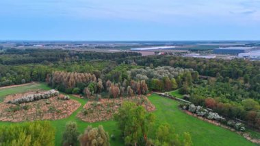 Hollanda kırsalındaki yeşil alanlar. Açık bir akşamda Hollanda 'daki yeşil tarlaların ve ağaçların canlı görüntüsü doğanın güzelliğini gözler önüne seriyor..