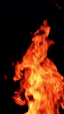 Havaya doğru yükselen uzun ateş alevi. Siyah zeminde izole edilmiş güzel bir kamp ateşi yanıyor. Dikey video