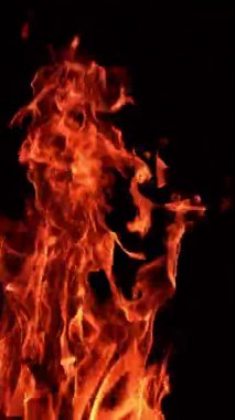 Büyük bir kamp ateşinde yanan odun parçaları. Karanlıkta alevlerin büyük dilleri yükseliyor. Dikey video