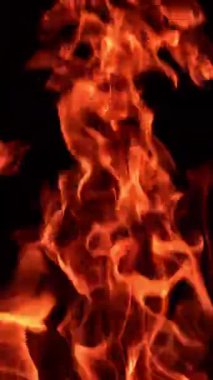 Karanlıkta dans eden kırmızı alevler. Kamp ateşinin çok güzel hipnotik görüntüsü. Dikey video