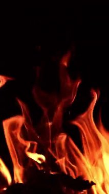 Kamp ateşinde odun yanıyor. Geceleri güzel bir şenlik ateşinin sıcacık manzarası. Kapatın. Dikey video