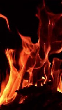 Geceleri kamp ateşinde yanan ahşap kütükler. Bir çubuk kırılır ve birden fazla parıltı yükselir. Dikey video