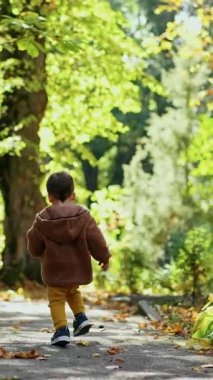 Küçük çocuk parktaki ara sokağa doğru koşuyor. Bebek yerdeki kestaneyi fark etmeyi bırakıyor. Dikey video