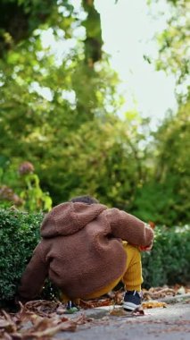 Tatlı çocuk parkta bir kestane koparır. Gülümseyen çocuk kameraya koşar ve mutlu bir şekilde kestane fırlatır. Dikey video