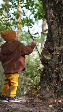 Sarı şapkalı, pantolonlu ve kahverengi ceketli çocuk parkta oynuyor. Çocuk geniş ağaç gövdesine sopayla vuruyor. Dikey video