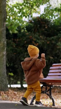 Küçük tatlı çocuk parkta eğleniyor demek. Toddler kestaneleri fırlatıyor ve onu arıyor. Dikey video