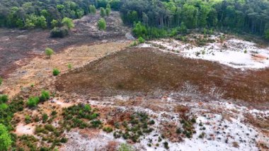 Ormanda bitki örtüsü olmayan kuru bir alan. Doğada ormanların yok edilmesi süreci. İnsan faaliyetlerinin kötü sonuçları. Hava görünümü.