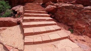 Yüksek kayaların eteğindeki taş merdivenler. Kum taşlarında nadir ağaçlar yetişir. Ünlü Petra, Ürdün, Batı Asya 'nın alçak açılı görüntüsü.