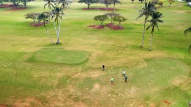 Ağaçların büyüdüğü büyük bir golf sahası. Rüzgarlı bir günde dört adam golf oynuyor. Hava görüntüsü. Oahu, Hawaii, ABD.