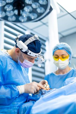 Cerrahi ekip hassas operasyonda. İki tıp uzmanı, iyi donanımlı bir ameliyathanede cerrahi bir prosedüre dikkatle odaklanır..