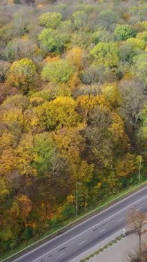 Sonbahar Ormanı Yolu 'nun havadan görünüşü. Turuncu manzara sonbahar otobanı. Dikey video