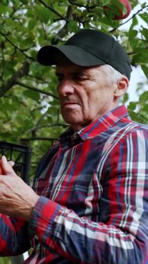 Elma bahçıvanı yakışıklı adam. Bahçıvan taze meyve topluyor. Dikey video