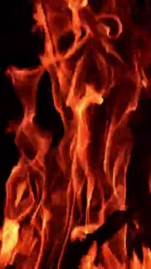 Şenlik ateşi yavaş çekimde ısınıyor. Gece şöminesi parlıyor. Dikey video