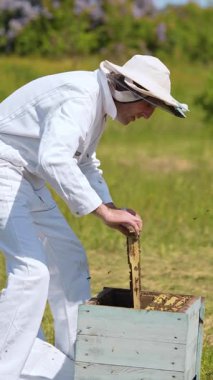 Tarım bal peteği yetiştiriciliği. Arı kovanlarıyla çalışan üniformalı bir arıcı. Dikey video