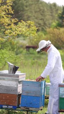 Arı kovanında çalışan üniformalı bir adam. Koruyucu üniformalı arıcılık işçisi. Dikey video