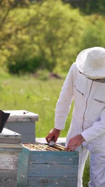 Koruyucu üniformalı arıcılık işçisi. Arı kovanında çalışan üniformalı bir adam. Dikey video