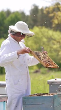Arı yetiştiricisi arı kovanlarıyla çalışıyor. Arıcı tarafından organik bal hasadı. Dikey video
