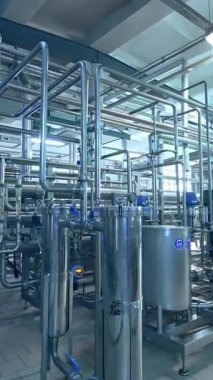 Peynir yapmak için modern çelik yapımı. Modern teknolojilerde süt üretimi. Dikey video