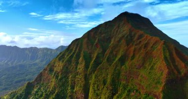 Yeşil çimenler ve yosunlarla kaplı muhteşem, ulaşılamaz kayalar. Oahu, Hawaii, ABD 'deki kayaların etrafında insansız hava aracı uçuşu..