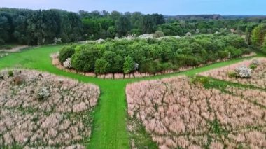 Yeşil arazide dolambaçlı bir yol. Gündüz vakti sakin bir açık alanda eğimli bir yol boyunca çeşitli yeşil bitkilerin geniş bir görüntüsü.