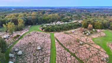 Yeşil tepelerin engin alacakaranlık manzarası. Hava manzarası, alacakaranlık gökyüzünün altında çiçek açan, doğanın güzelliğini gösteren yemyeşil bir manzarayı gözler önüne seriyor..