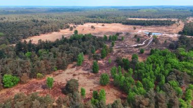 Geniş ağaçlar ve açık araziler. Geniş bir doğal alan, gün içinde açık mavi gökyüzünün altında yeşil yapraklar ve kuru toprağın bir karışımını gösteriyor..