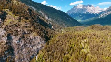 Büyüleyici dağları kaplayan bereketli çam ağaçları. Arka planda karla kaplı taşlar. Avrupa vahşi yaşamı. Hava görünümü.