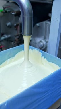 Süt ürünleri fabrikasında tereyağı işleniyor. Borudan kabın içine tereyağı dökülüyor.
