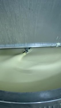 Süt ürünleri fabrikasında tereyağı üretimi. Süt ürünleri endüstriyel hattında tereyağı üretimi