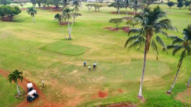 Palmiye ağaçlarının yakınında bir grup insan sahada duruyor. Sporcular Hawaii, ABD 'de golf oynarlar. Hava görünümü.